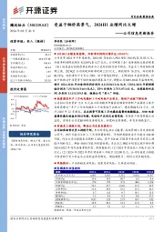 公司信息更新报告:受益于铜价高景气,2024H1业绩同比大增