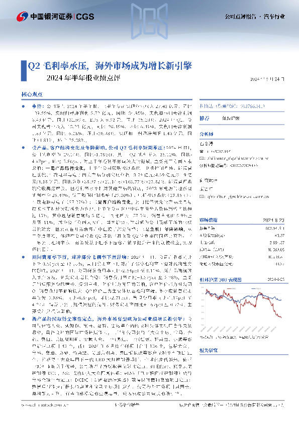 2024年半年报业绩点评：Q2毛利率承压，海外市场成为增长新引擎