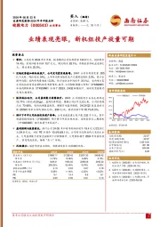 2024年半年报点评:业绩表现亮眼,新机组投产放量可期