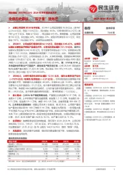 2024年半年报深度点评:业绩历史最佳,“双子星”放光芒