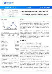 2024年中报点评:二季度归母净利润同比高增,看好长期成长性