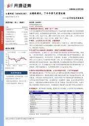 公司信息更新报告：业绩高增长，下半年景气有望延续