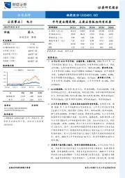 半年度业绩高增，主要业务板块均有改善
