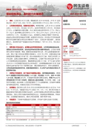 2024年半年报点评:营收短暂承压,盈利能力大幅提升