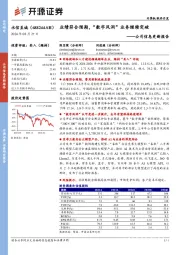 公司信息更新报告：业绩符合预期，“数字风洞”业务继续突破