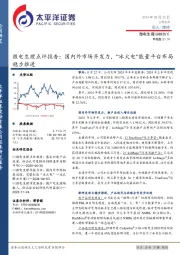 微电生理点评报告:国内外市场齐发力,“冰火电”能量平台布局稳步推进
