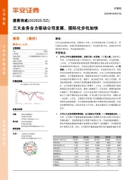 三大业务合力驱动公司发展,国际化步伐加快