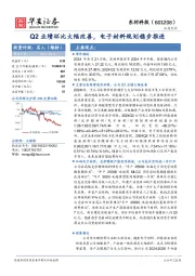 Q2业绩环比大幅改善,电子材料规划稳步推进