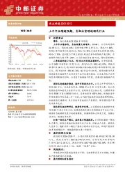 上半年业绩超预期,负极出货增速领先行业
