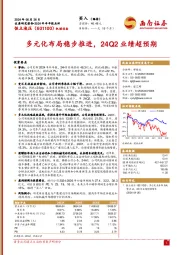 2024年半年报点评:多元化布局稳步推进,24Q2业绩超预期