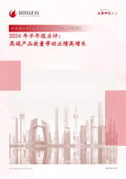 2024年半年报点评:高端产品放量带动业绩高增长