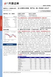 公司信息更新报告:Q2业绩符合预期,葫芦岛一期一阶段进入试生产