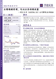 公司事件点评报告:业绩稳健高增,电站业务持续放量