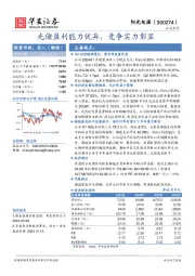 光储盈利能力优异,竞争实力彰显