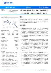 2024年中报点评：中报业绩短期承压，看好产品群中长期增长潜力