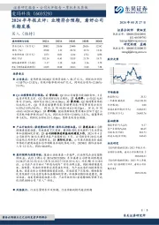 2024半年报点评:业绩符合预期,看好公司长期发展