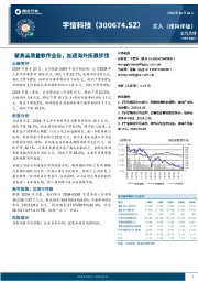 聚焦高质量软件业务，加速海外拓展步伐