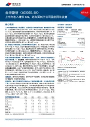 上半年收入增长56%，坯布面料子公司盈利同比改善