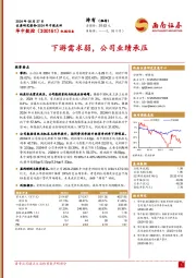 2024年中报点评：下游需求弱，公司业绩承压