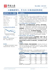 业绩稳健增长,多元化+出海战略持续推进