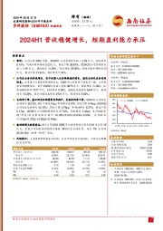 2024年中报点评：2024H1营收稳健增长，短期盈利能力承压
