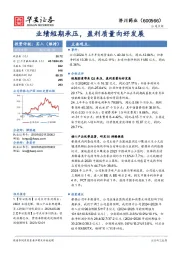 业绩短期承压,盈利质量向好发展