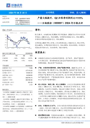 2024年中报点评:产量大幅提升,Q2归母净利润同比+115%