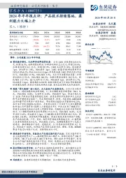 2024年半年报点评:产品技术持续落地,盈利能力大幅上升