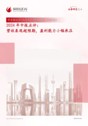 2024年中报点评:营收表现超预期,盈利能力小幅承压