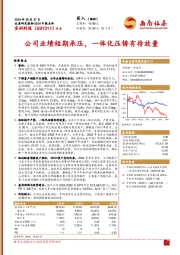 2024中报点评：公司业绩短期承压，一体化压铸有待放量
