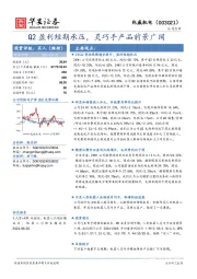Q2盈利短期承压，灵巧手产品前景广阔
