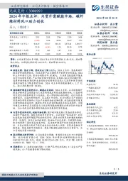 2024年中报点评：内贸外需赋能市场，碳纤维材料风口助力创收