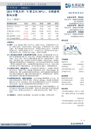 2024中报点评:N型占比80%+,白银套保影响业绩