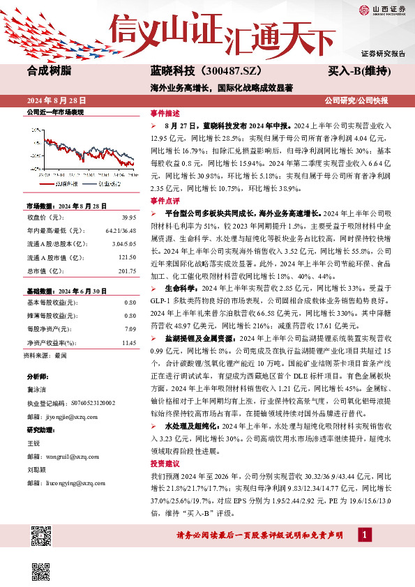 海外业务高增长，国际化战略成效显著