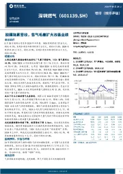 胶膜拖累营收，售气毛差扩大改善业绩