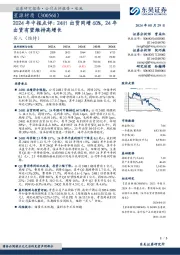 2024年中报点评:24H1出货同增60%,24年出货有望维持高增长