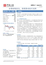 业绩短期承压,持续推动技术创新