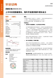 上半年实现稳健增长，海外开拓提供额外增长动力