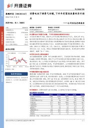 公司信息更新报告:消费电池下游景气回暖,下半年有望迎来量利齐升拐点