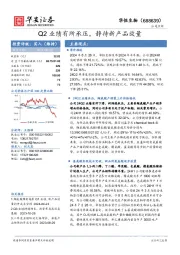 Q2业绩有所承压,静待新产品放量