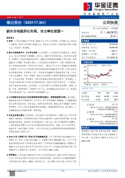 新兴市场差异化布局,市占率位居第一