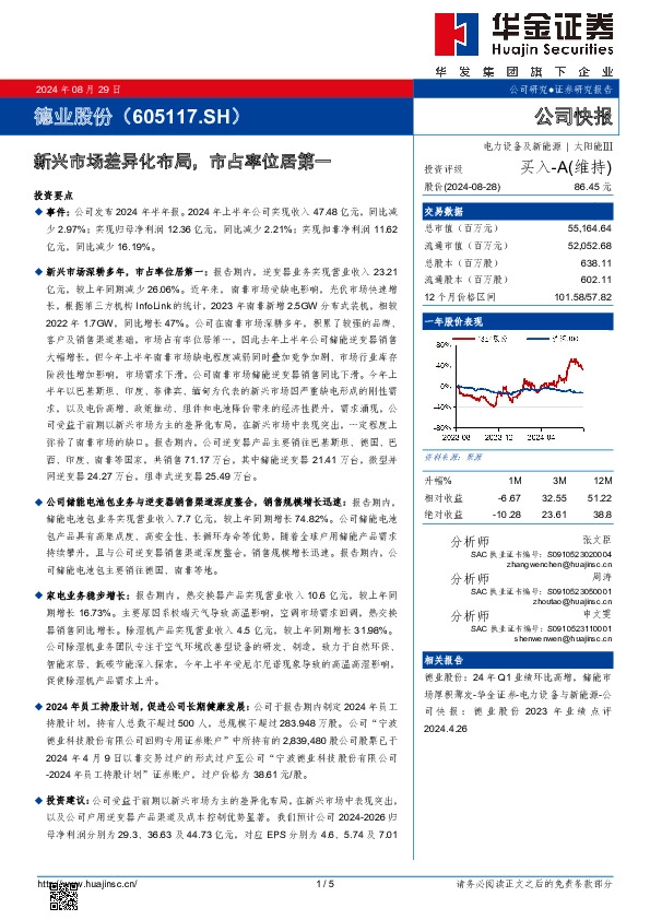 新兴市场差异化布局，市占率位居第一