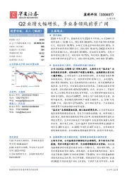 Q2业绩大幅增长,多业务领域前景广阔