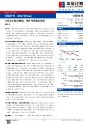 公司龙头地位稳固，海外市场稳步推进