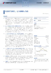 生猪出栏高增长，Q2业绩扭亏为盈