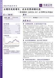 公司事件点评报告：业绩实现高增长，成本优势持续巩固