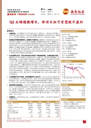 2024年中报点评：Q2业绩稳健增长，新项目扭亏有望提升盈利