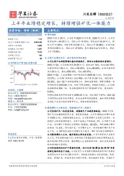 上半年业绩稳定增长,持续增强矿化一体能力