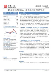 Q2业绩短期承压，储能柜项目实现突破