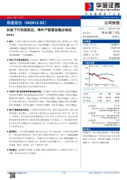 价格下行利润承压，海外产能建设稳步推进